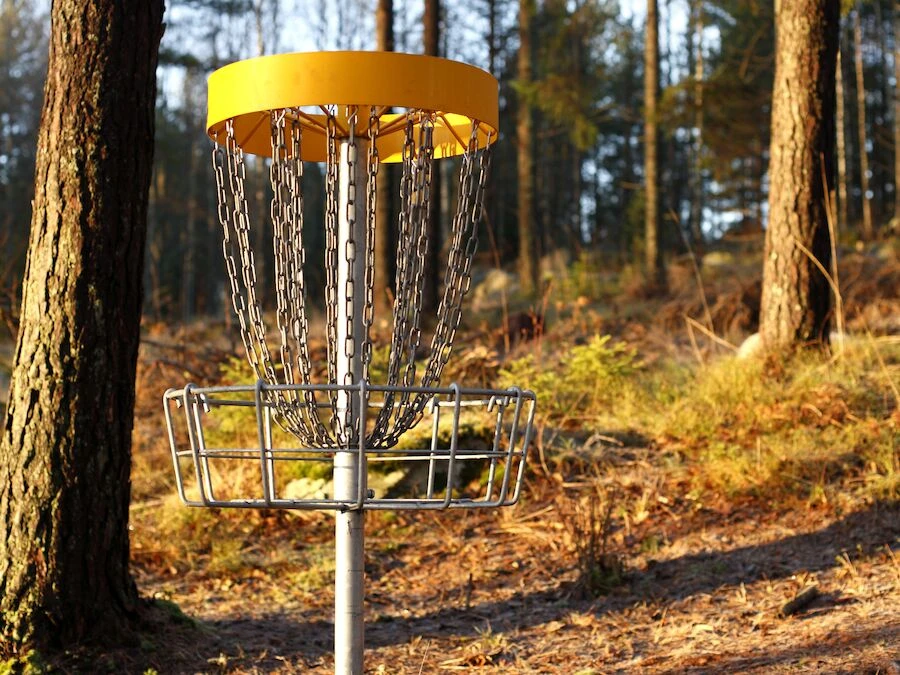 DiscGolfPark Pro Target Permanent